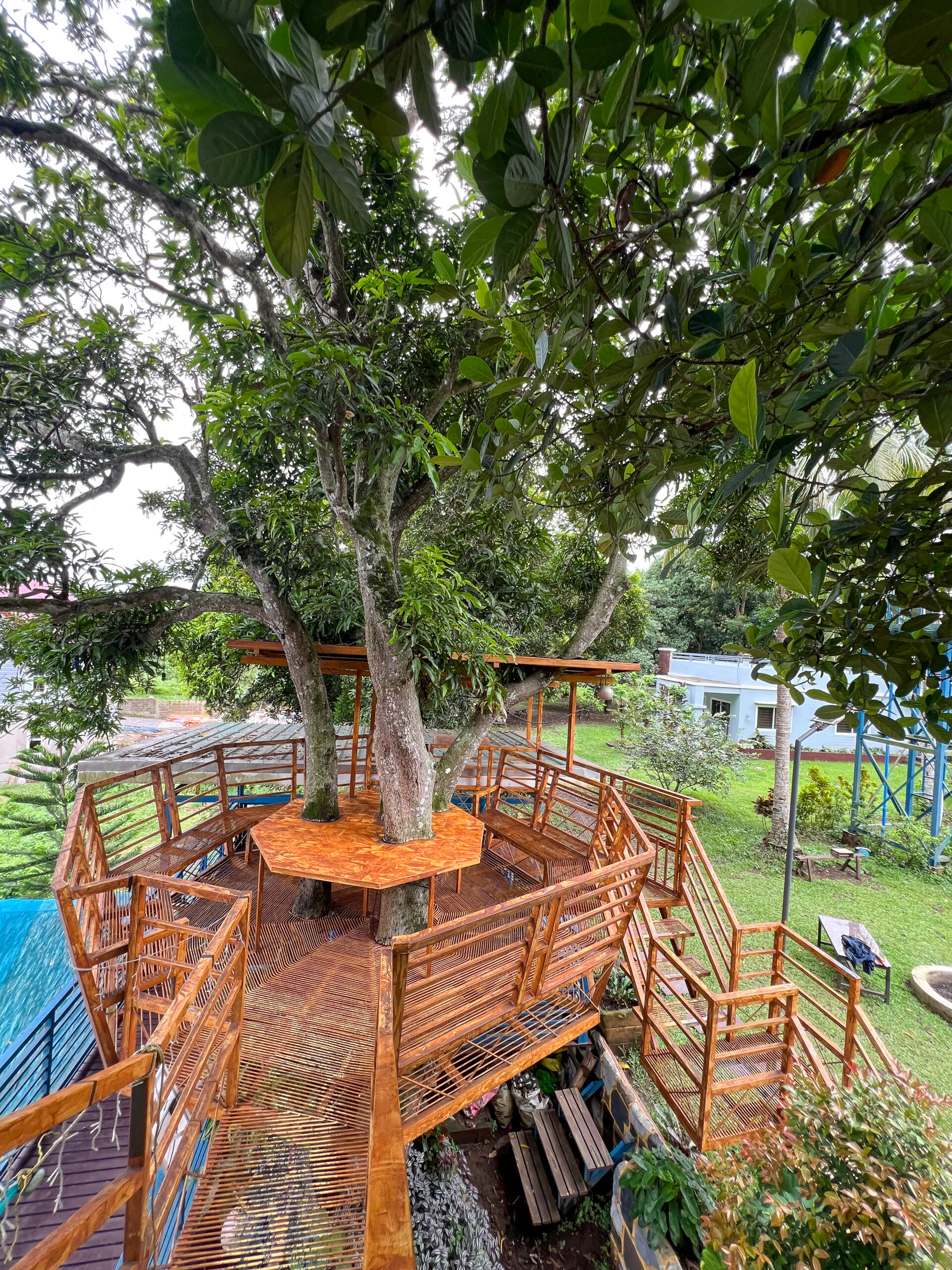 TREE HOUSE 1