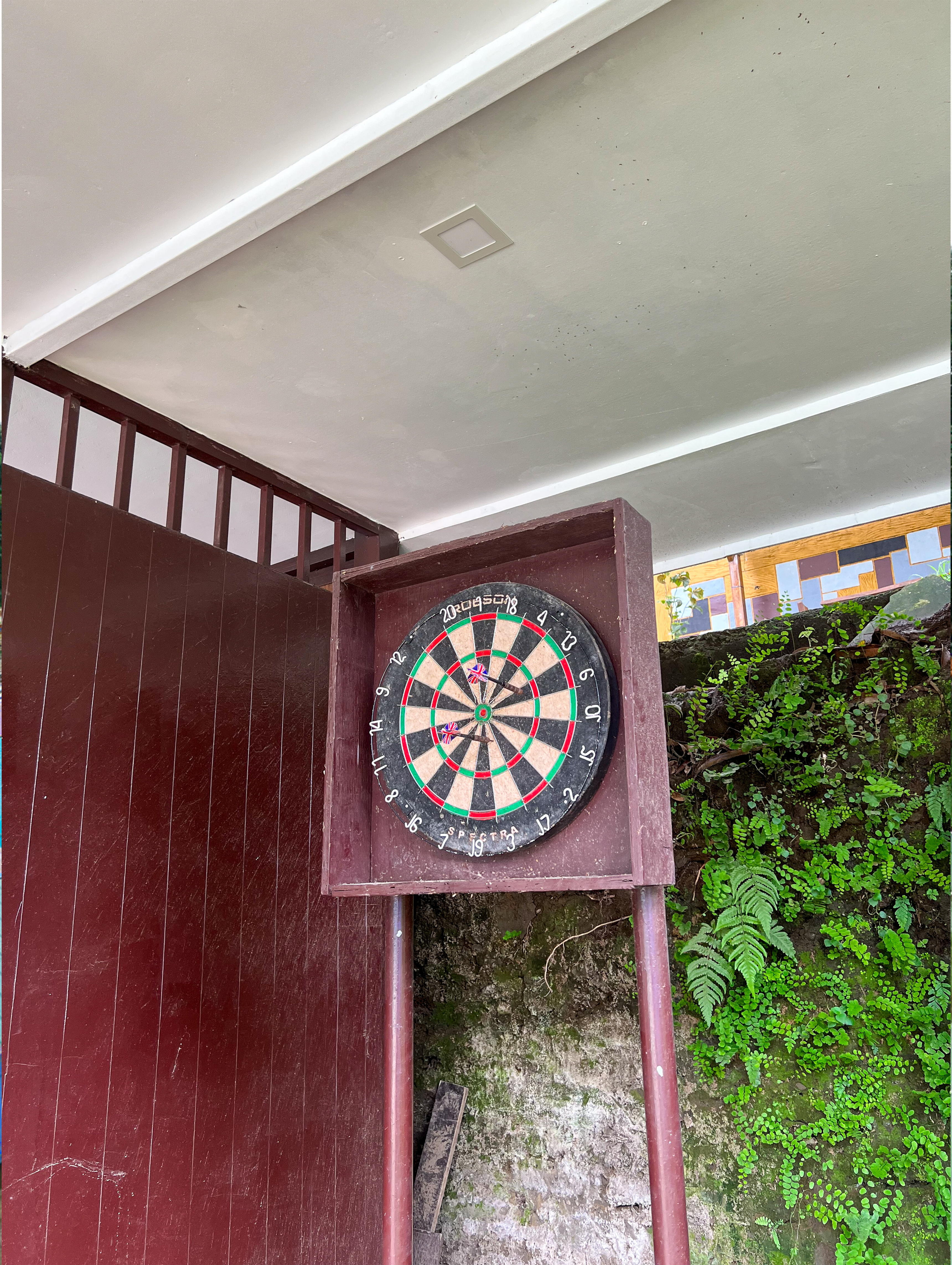 Darts Area